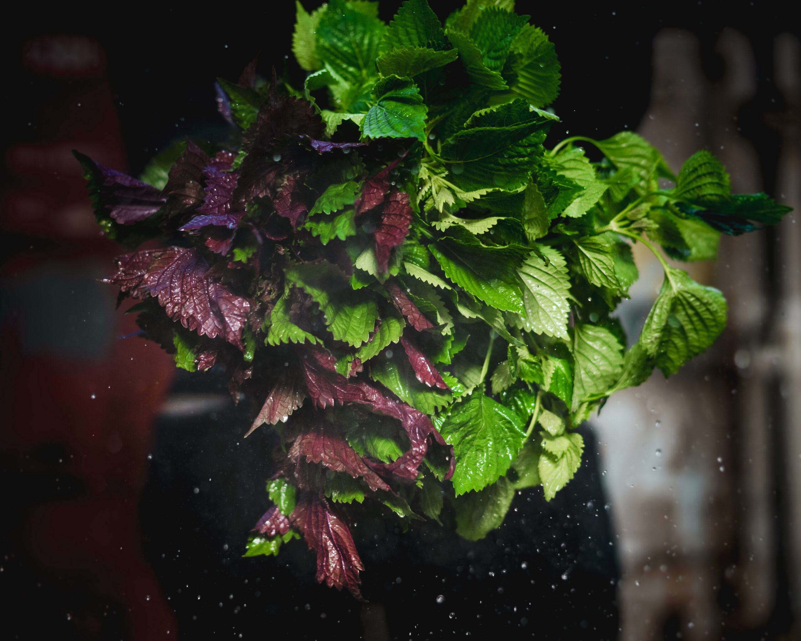 Parallax Image